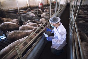 Postma Vleeswaren en De Kroes bundelen krachten