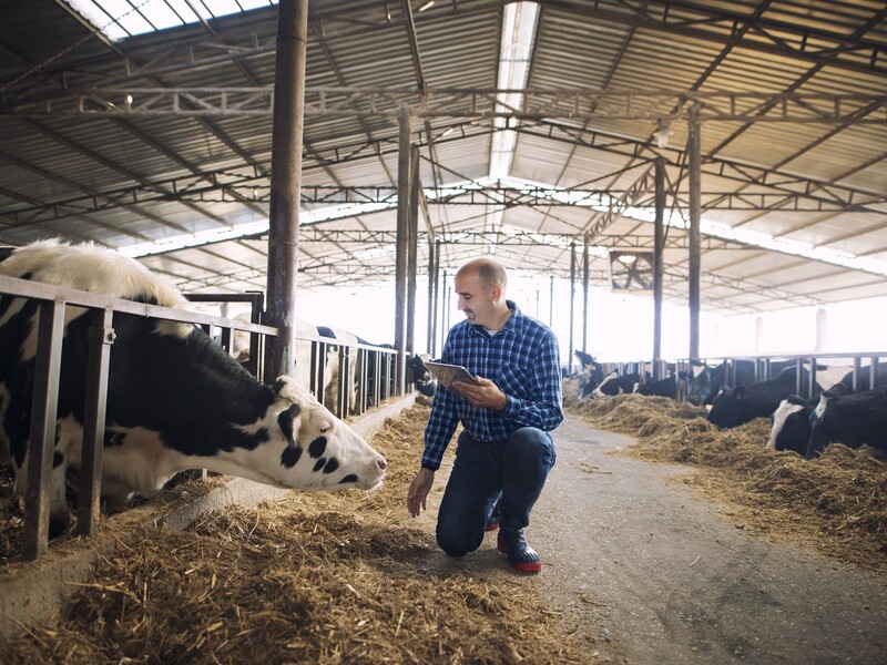'Wij accepteren niet dat boeren vogelvrij worden verklaard'