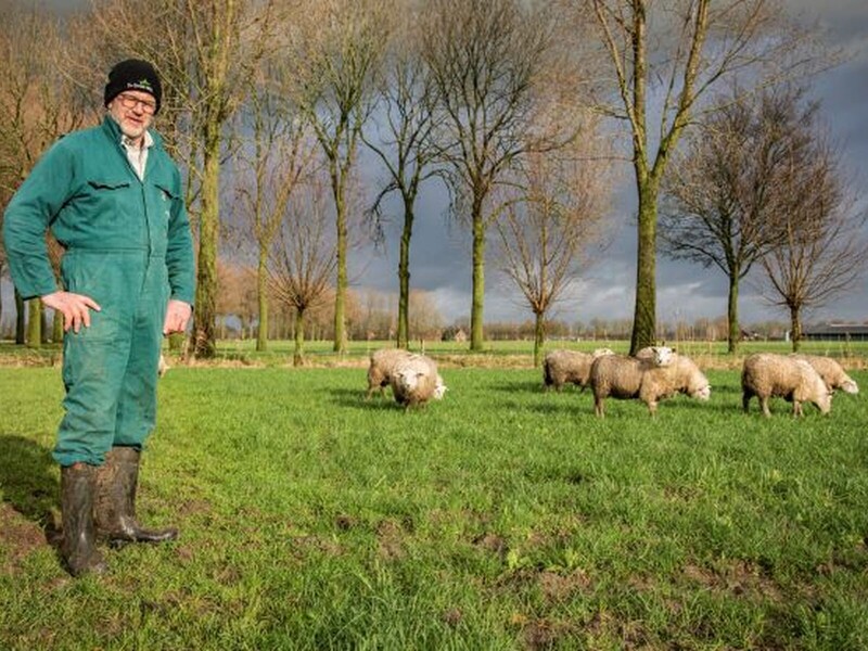 De Groene Weg formaliseert keten biologisch lamsvlees