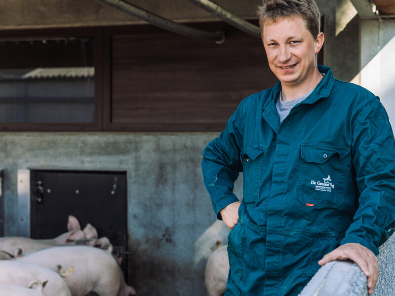 Eerste Belgische varkens geleverd aan De Groene Weg