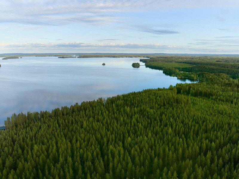 Metsä Board verovert plaats op CDP Supplier Engagement Assessment Leaderboard