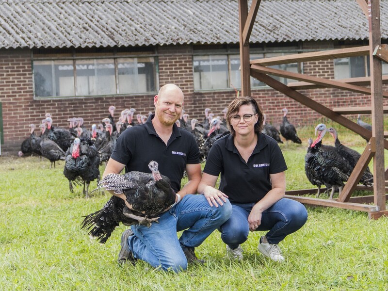 De Sjroete Farm: duurzaam concept voor kalkoenvlees